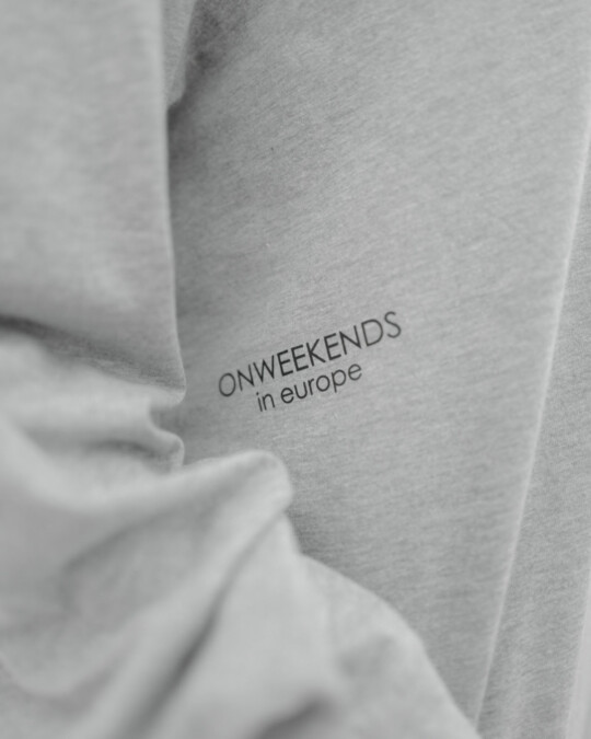 in europe oversized Longsleeve Grey_abbildung_model_bildnr8