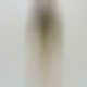 Produktabbildung: The PJ Hose Beige